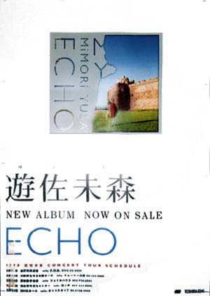 echo poster (right)