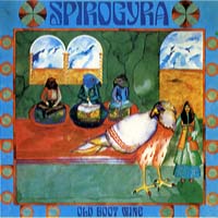 Old Boot Wine / SPIROGYRA