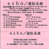 Echo Tape Card